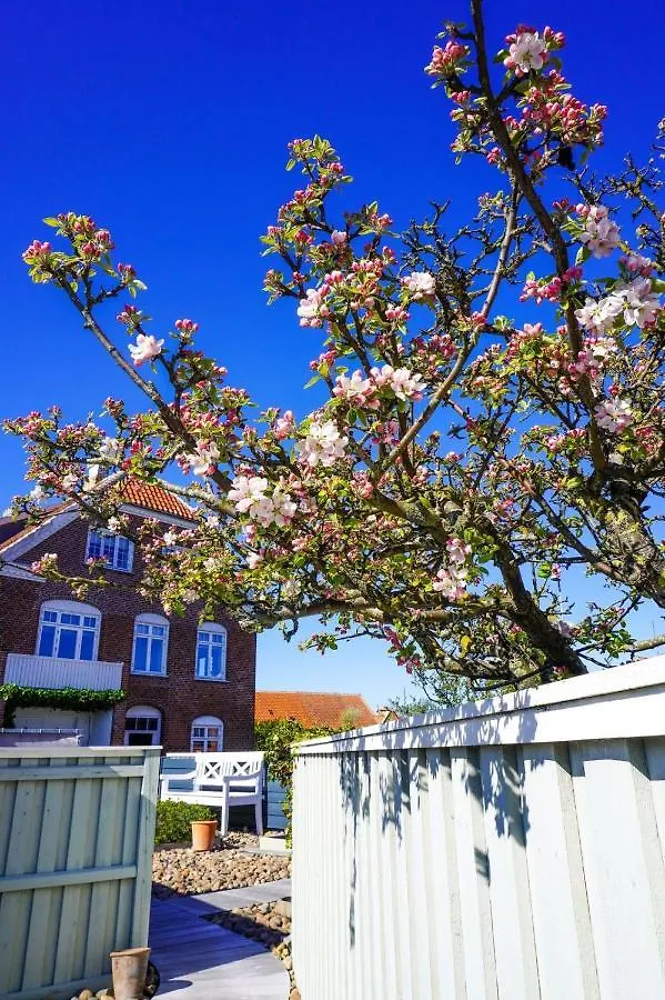 ****  Hotel Plesner Skagen Denemarken